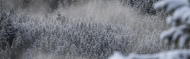 上門龍婿葉辰蕭初然_第21章 他是董事長？