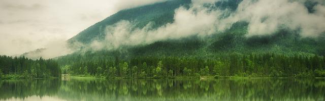 上門龍婿葉辰蕭初然_第3330章 暗花