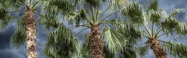 魔王大人深不可測繁體免費章節免費享，期待您的品鑒