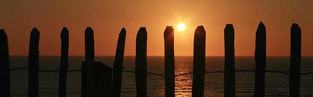 都市神醫葉辰很囂張_第 11969 章 都聽你的