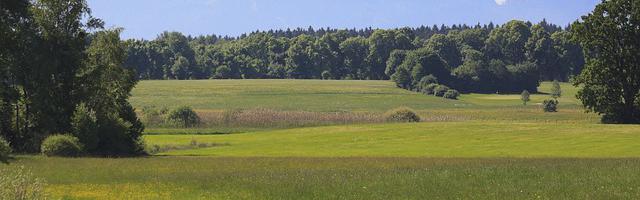 上門龍婿葉辰蕭初然_第2971章 國之重器