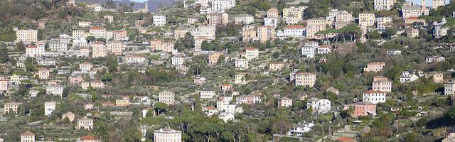 上門龍婿葉辰蕭初然_第3301章 佐佐木幸子