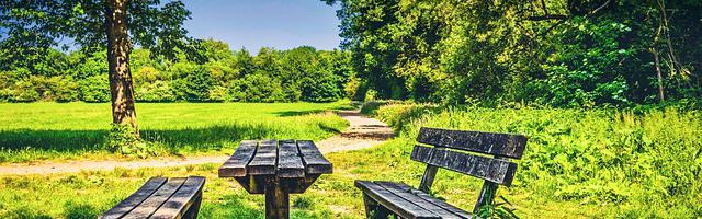 東北保家仙繁體免費章節，邀您共賞