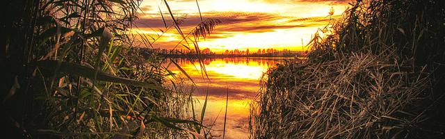 都市神醫葉辰很囂張_第382章 一個字的力量！ （8/10）