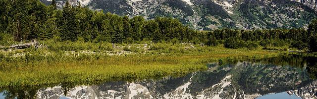 狂妃傲蒼穹：帝尊寵上天！繁體免費章節，邀您共賞