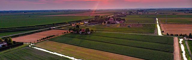 都市神醫葉辰很囂張_第159章 你是修煉者！（求推薦票！）