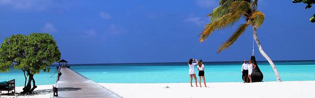 都市神醫葉辰很囂張_第12163章 虎穴也闖！