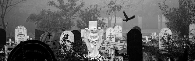 都市神醫葉辰很囂張_第12304章 龍之怒