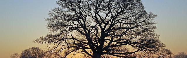 重生隋煬帝：打造史上第一帝國繁體免費章節免費享，期待您的品鑒