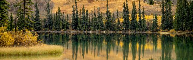 脊蠱：從靈籠開始吞噬繁體免費章節，邀您共賞