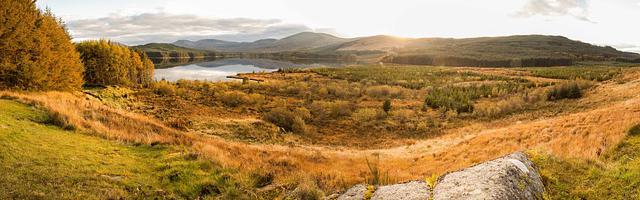 上門龍婿葉辰蕭初然_第3273章 行大運