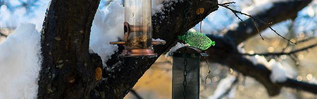 都市神醫葉辰很囂張_第502章 昆侖虛來人！（三更！）