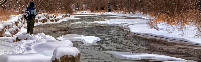 這個團寵有點兇繁體免費章節免費享，期待您的品鑒