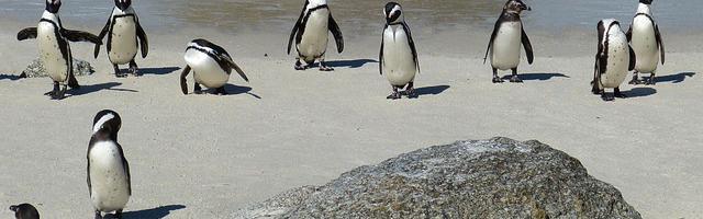 網游之黑暗道士繁體免費章節免費享，期待您的品鑒