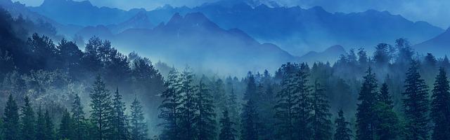 快穿女配：男神，撩一個繁體免費章節，邀您共賞