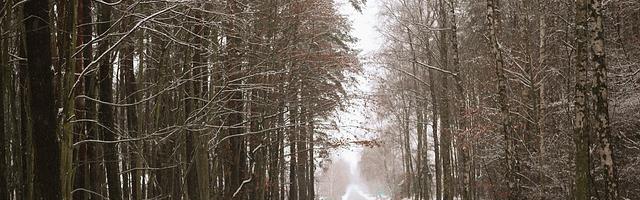 我若修仙法力齊天繁體免費章節免費享，期待您的品鑒