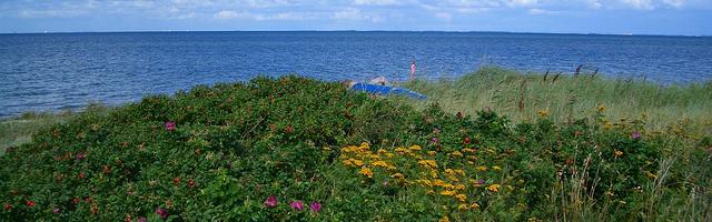 暮夜良人繁體免費章節，邀您共賞