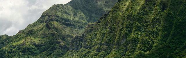 上門龍婿葉辰蕭初然_第3243章 意外收獲
