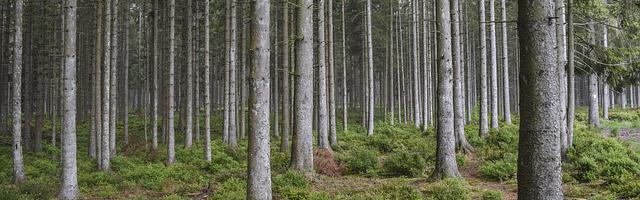 上門龍婿葉辰蕭初然_第403章 喂了狗了