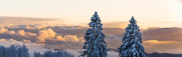 都市神醫葉辰很囂張_第12224章 新大能（三章合一）