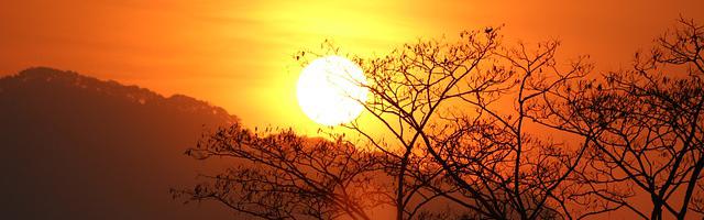 都市神醫葉辰很囂張_第 11951 章 舍得毀去