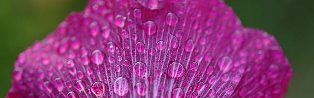 我當異常生物管理員那些年繁體免費章節，邀您共賞