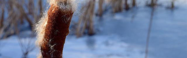 上門龍婿葉辰蕭初然_第3024章 不想浪費時間