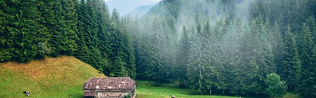 上門龍婿葉辰蕭初然_第3308章 擋箭牌