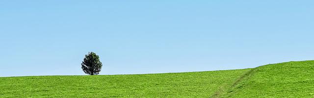 都市神醫葉辰很囂張_第11713章 談判