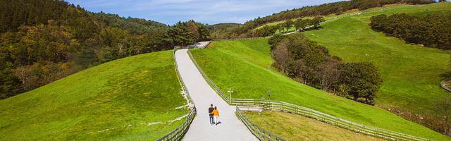 斗羅大陸之開局簽到焰靈姬繁體免費章節免費享，期待您的品鑒