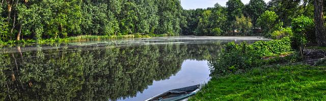 都市神醫葉辰很囂張_第39章 物是人非！