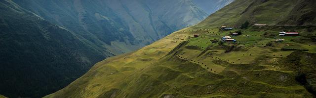 保護我方輔助繁體免費章節免費享，期待您的品鑒