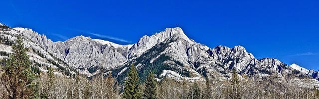 都市神醫葉辰很囂張_第196章 風暴席卷！（加更！求推薦票！）