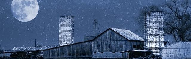 都市神醫葉辰很囂張_第 12008 章 吾皇永恒