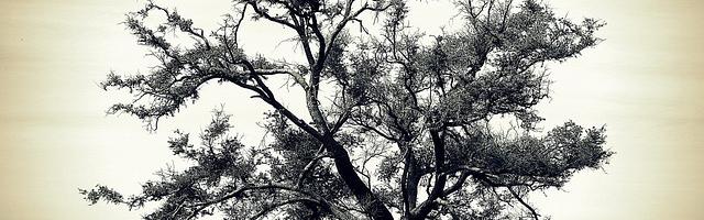 上門龍婿葉辰蕭初然_第2917章 震懾