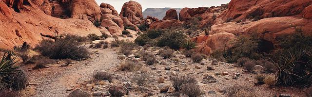 奧特格斗傳說繁體免費章節免費享，期待您的品鑒