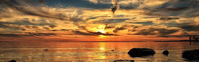 我明明只想當龍套繁體免費章節免費享，期待您的品鑒