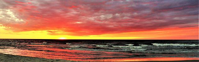 都市神醫葉辰很囂張_第185章 我可以救！（三更連發，求推薦票！）