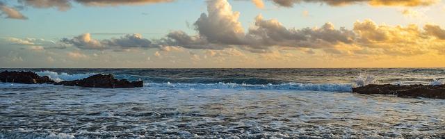 都市神醫葉辰很囂張_第125章 武道臺！（連更！求推薦票！）