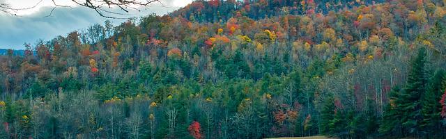 武動乾坤繁體免費章節，邀您共賞