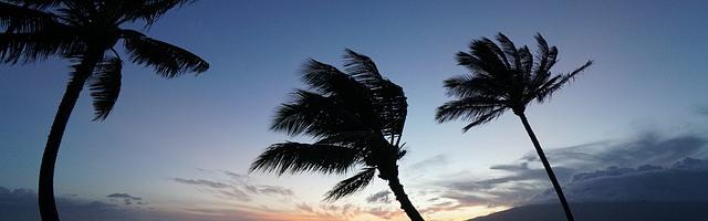 都市神醫葉辰很囂張_第11604章 還是來了