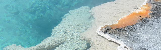 都市神醫葉辰很囂張_第80章 我愿意對她負責！（求推薦票！）