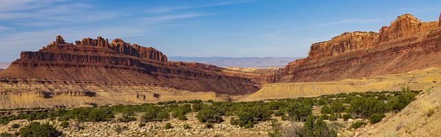 都市神醫葉辰很囂張_第12306章 圍獵
