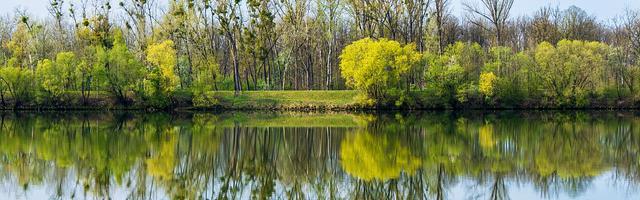 柯南之我的老姐毛利蘭繁體免費章節免費享，期待您的品鑒