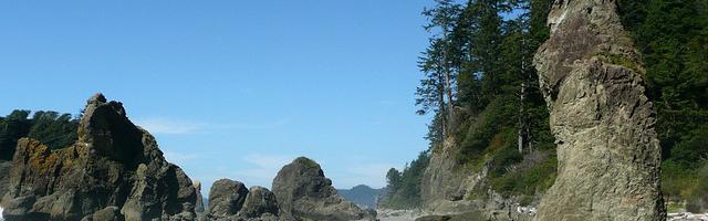 上門龍婿葉辰蕭初然_第73章 盡情享用