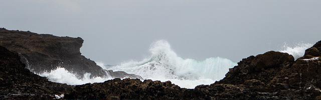 都市神醫葉辰很囂張_第110章 場面失控！（加更，冬至快樂！）