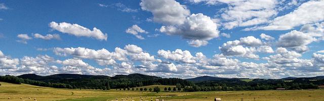 上門龍婿葉辰蕭初然_第1277章 虛情假意