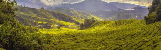 火影之平民忍者繁體免費章節免費享，期待您的品鑒