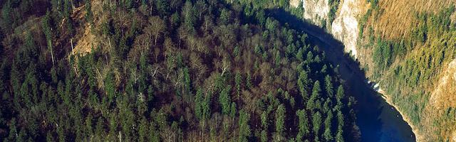 都市神醫葉辰很囂張_第12160章 大劫和背后