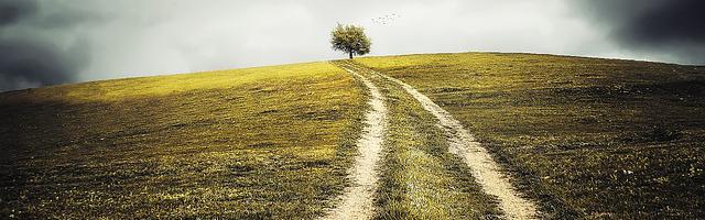 攤牌了我真是封號斗羅繁體免費章節免費享，期待您的品鑒